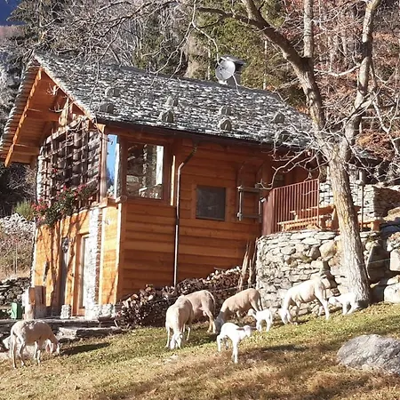 Del Noce Chalet Mollia